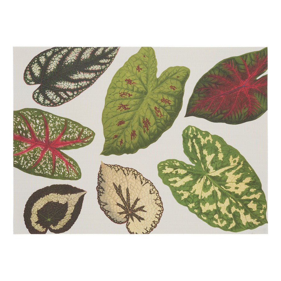 Scattered Leaves Placemat Martha Stewart Chw 101039 001 1
