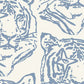 Star Tiger Wallpaper in Denim design by Aimee Wilder