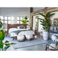 Madagascar Platform Bed King 7