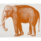 Elephant Canvas Wall Panel Design By Thomas Paul 1