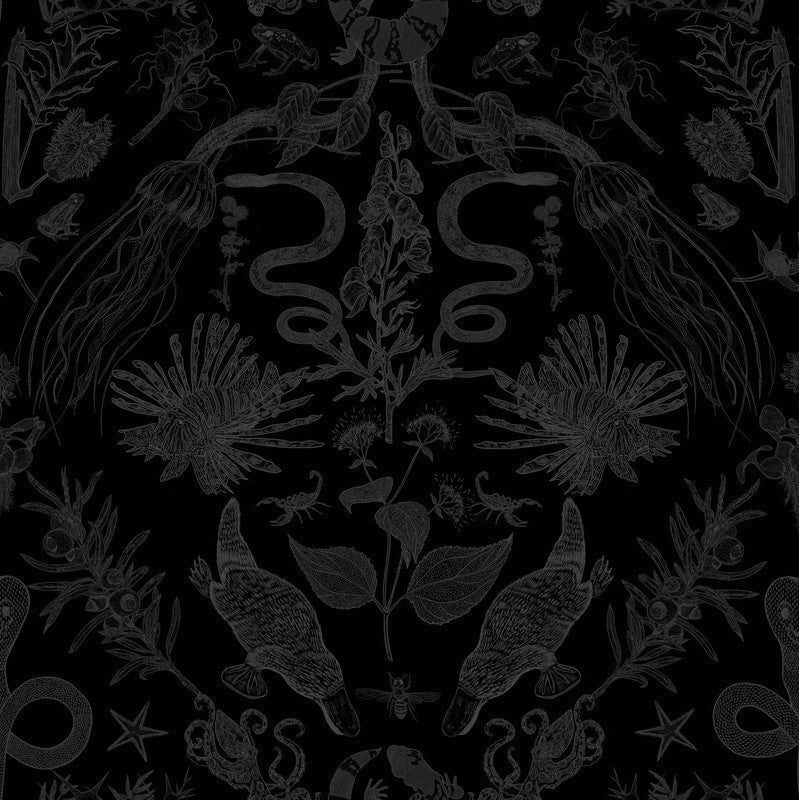 Sample Critters Wallpaper in Black/Black