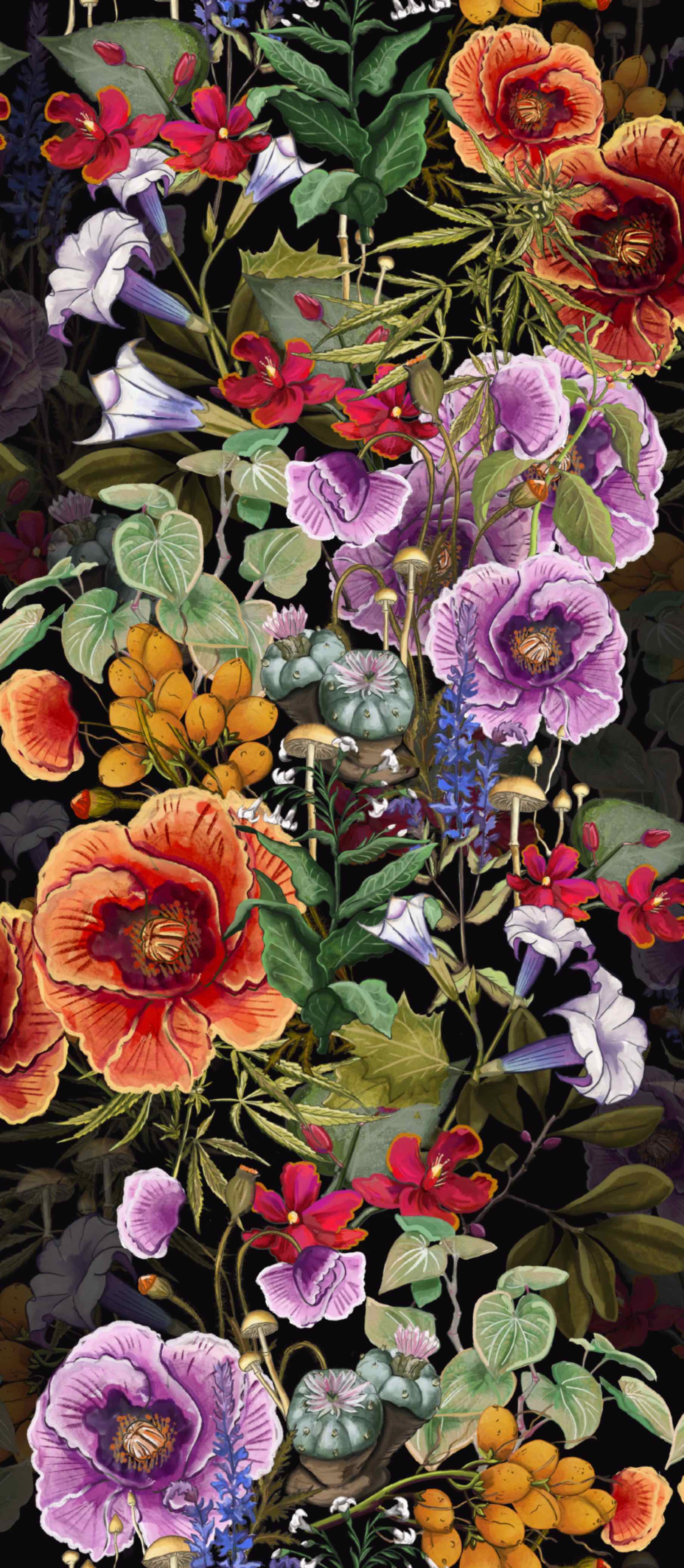 The War On Plants Wallpaper in Black/Multi