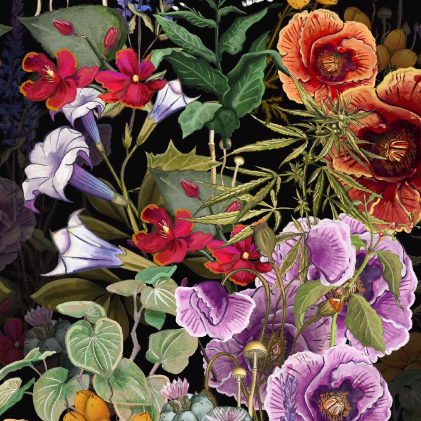 The War On Plants Wallpaper in Black/Multi
