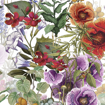 Sample The War On Plants Wallpaper in White/Multi