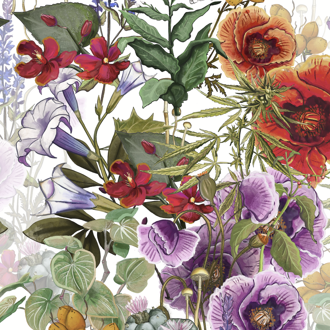 The War On Plants Wallpaper in White/Multi