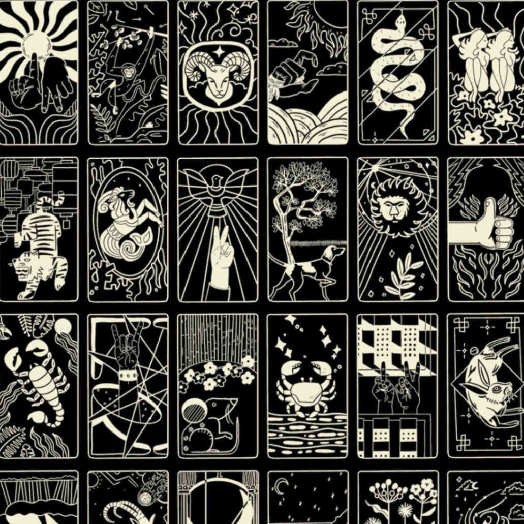 What's Your Sign Wallpaper in Black/Off-White