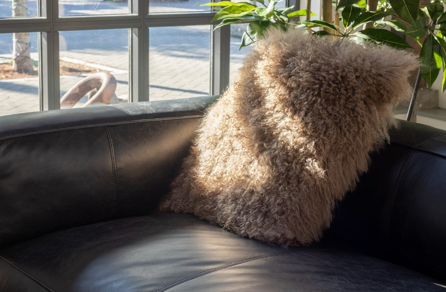 Lamb Pillows 19
