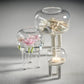 visby terrarium legged glass vases set of 2 by zodax ch 5999 4