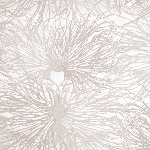 sample anemone wallpaper in alique design by jill malek 1