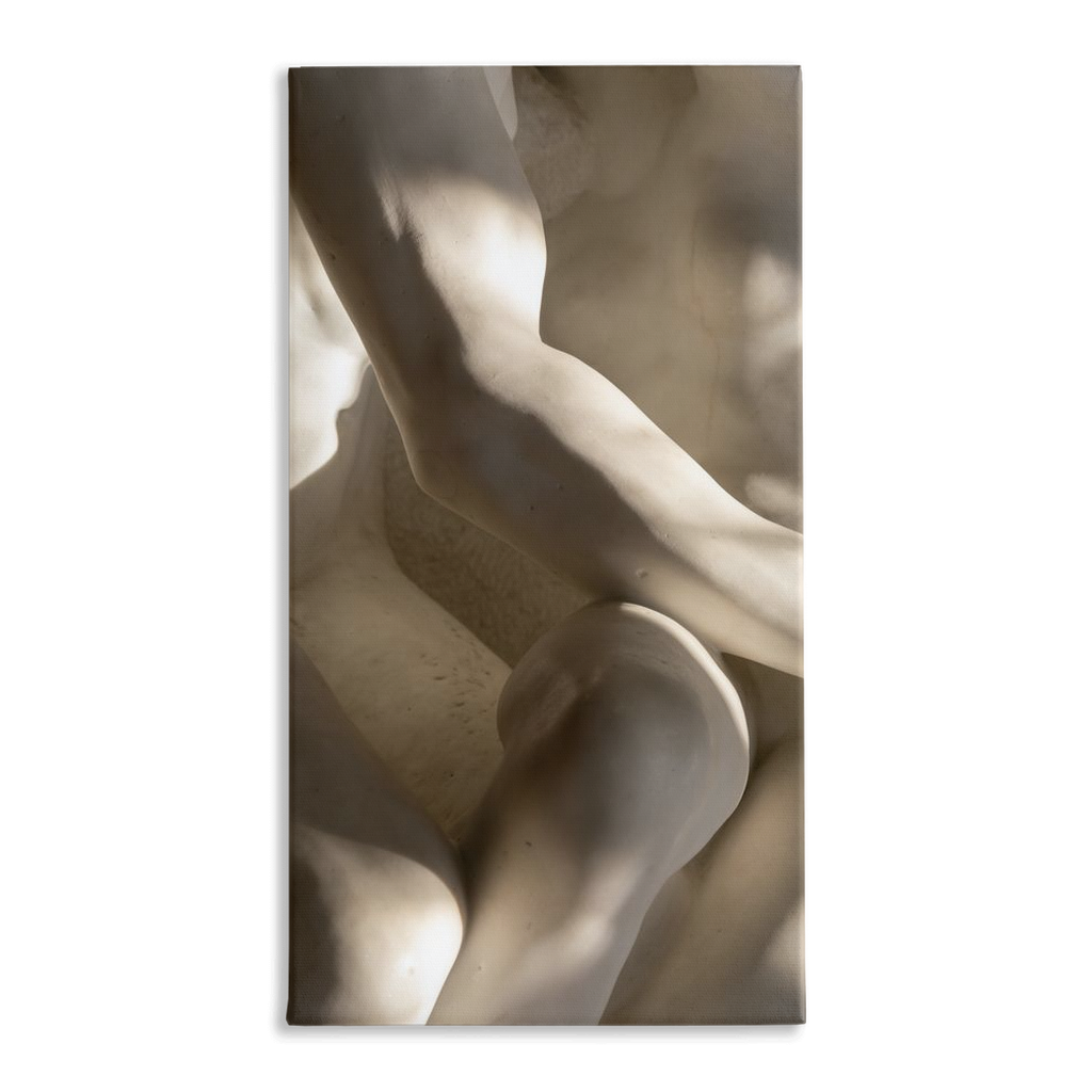 entanglement canvas 1
