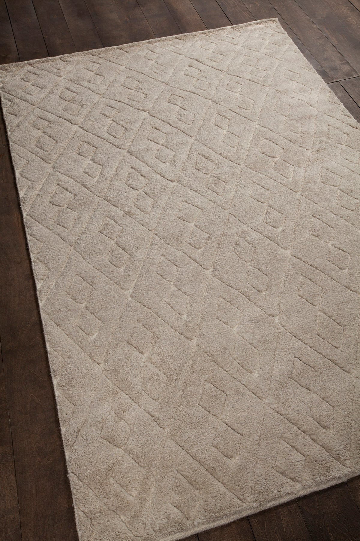 Catalina Hand Knotted Contemporary Cat 45102 Rug Chandra Rugs 4