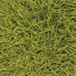 Duke Hand Woven Contemporary Shag Duk 20900 Rug Chandra Rugs 2