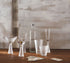 Verglas Barware by Roost